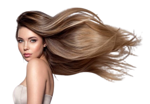 Duo perfect hair REIMIOGTON